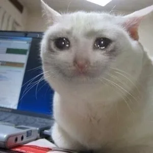 Crying cat meme: Jev, guessing how happy people are: 28 points too gloomy, on average