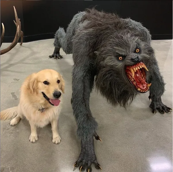 dog vs werewolf meme: a blue whale; a mosquito by your ear