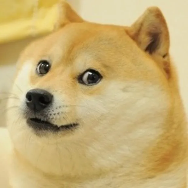 Doge meme: Jev: about half of lost wallets come back, everywhere (45-58%). Real: 7-82%.
