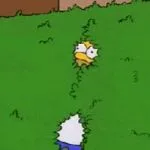 Homer disappears into bush meme: Jev when a poll asks for its favorite: "Other" (62%)
