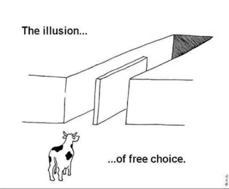 Illusion of free choice meme: "free will"; a fully determined universe