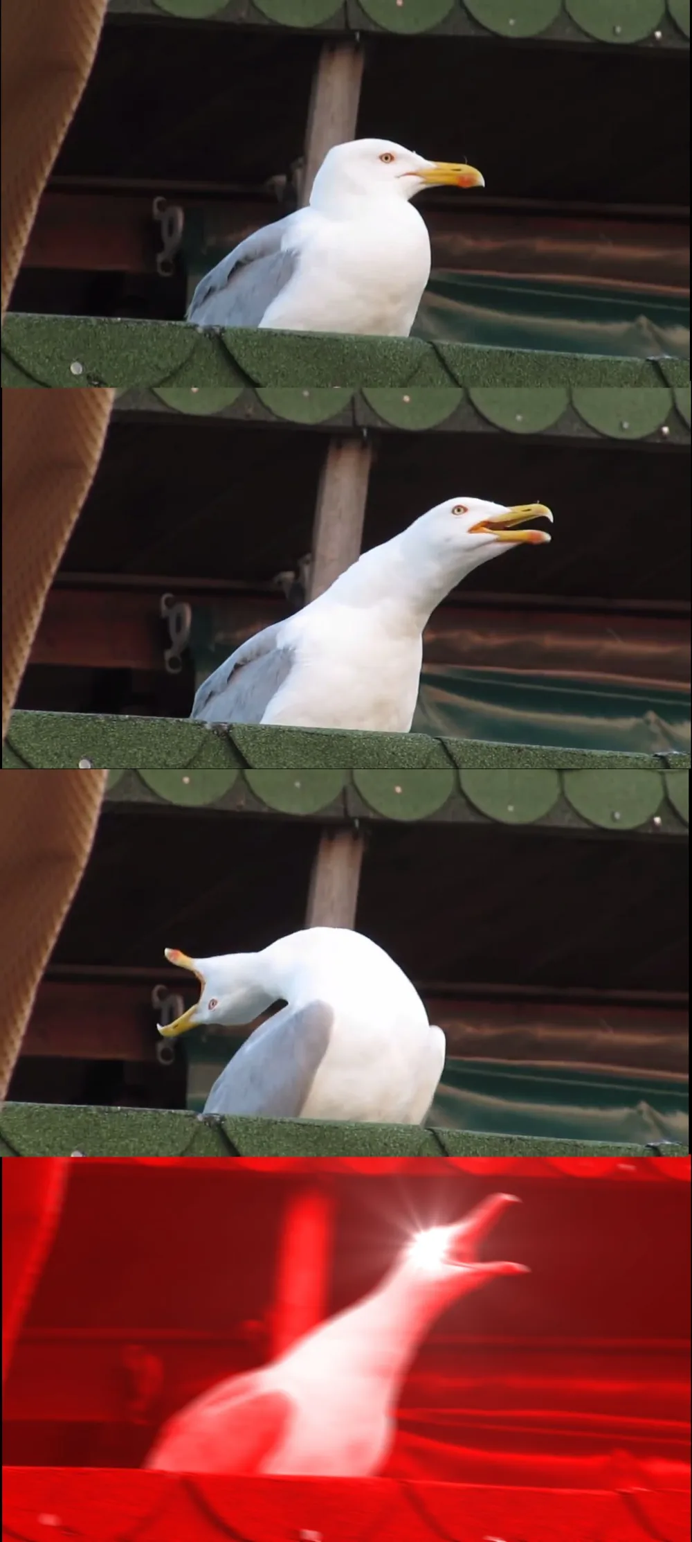 Inhaling Seagull meme: guess two-thirds of the average; against students: 27; against newspaper readers: 17; against copies of itself: 0