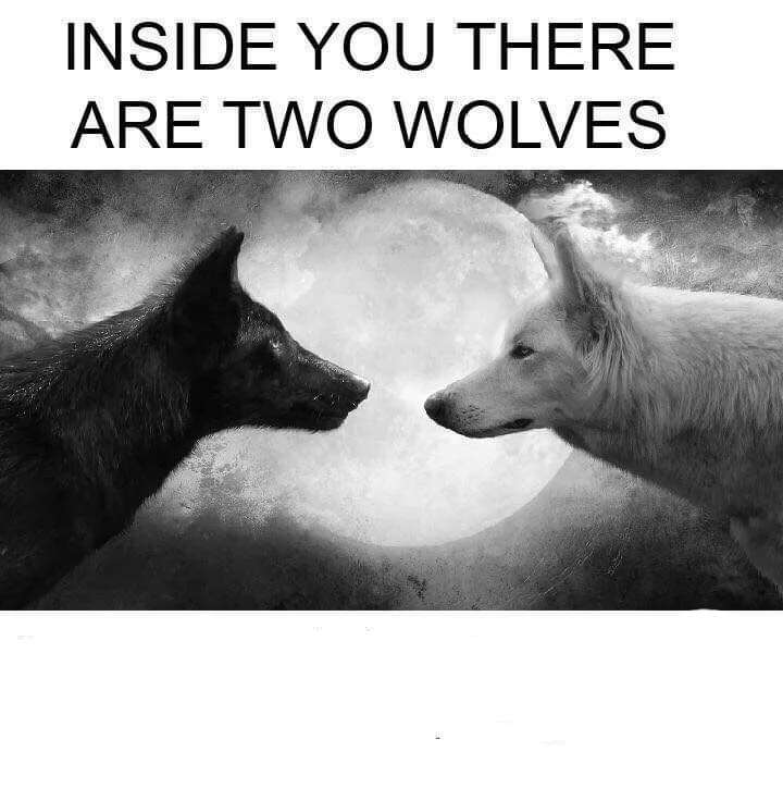 Inside you there are two wolves meme: one guesses what most people would pick; one just picks what it likes, and matches real audiences better