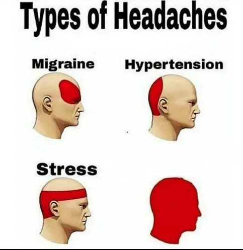 Types of Headaches meme meme: What a commit does
