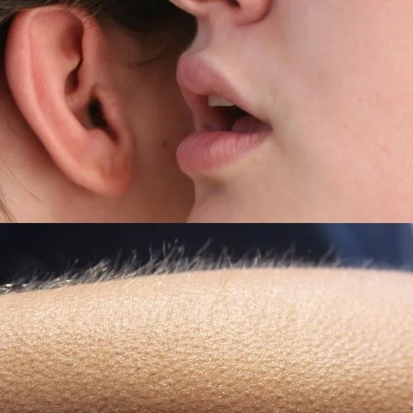 Whisper and Goosebumps meme: "I felt so ashamed"; *whispers* you mean guilty