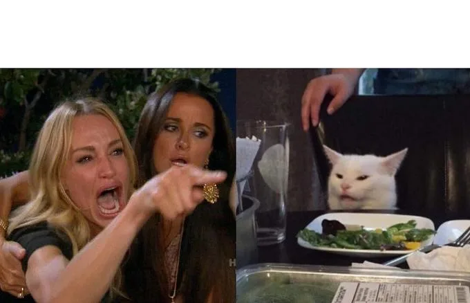 Woman Yelling At Cat meme: I THINK THE ANSWER IS B; switches only 8% of the time